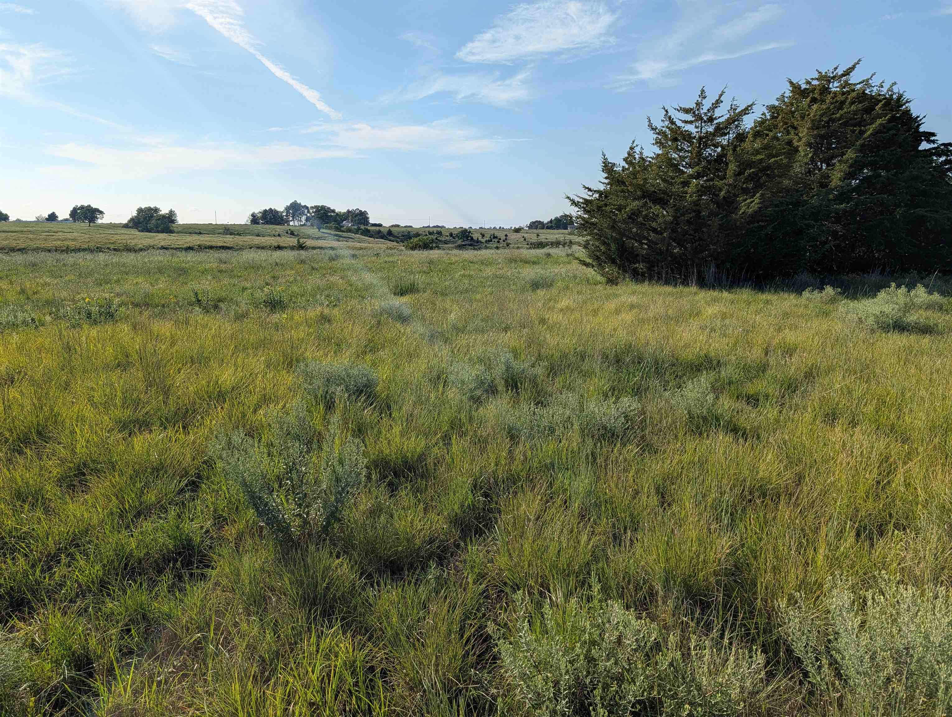 Lot 11 Block 2 Arbor Hills Subdivision, Kearney, Nebraska 68845, ,Land,for Sale,Lot 11 Block 2 Arbor Hills Subdivision,20261278