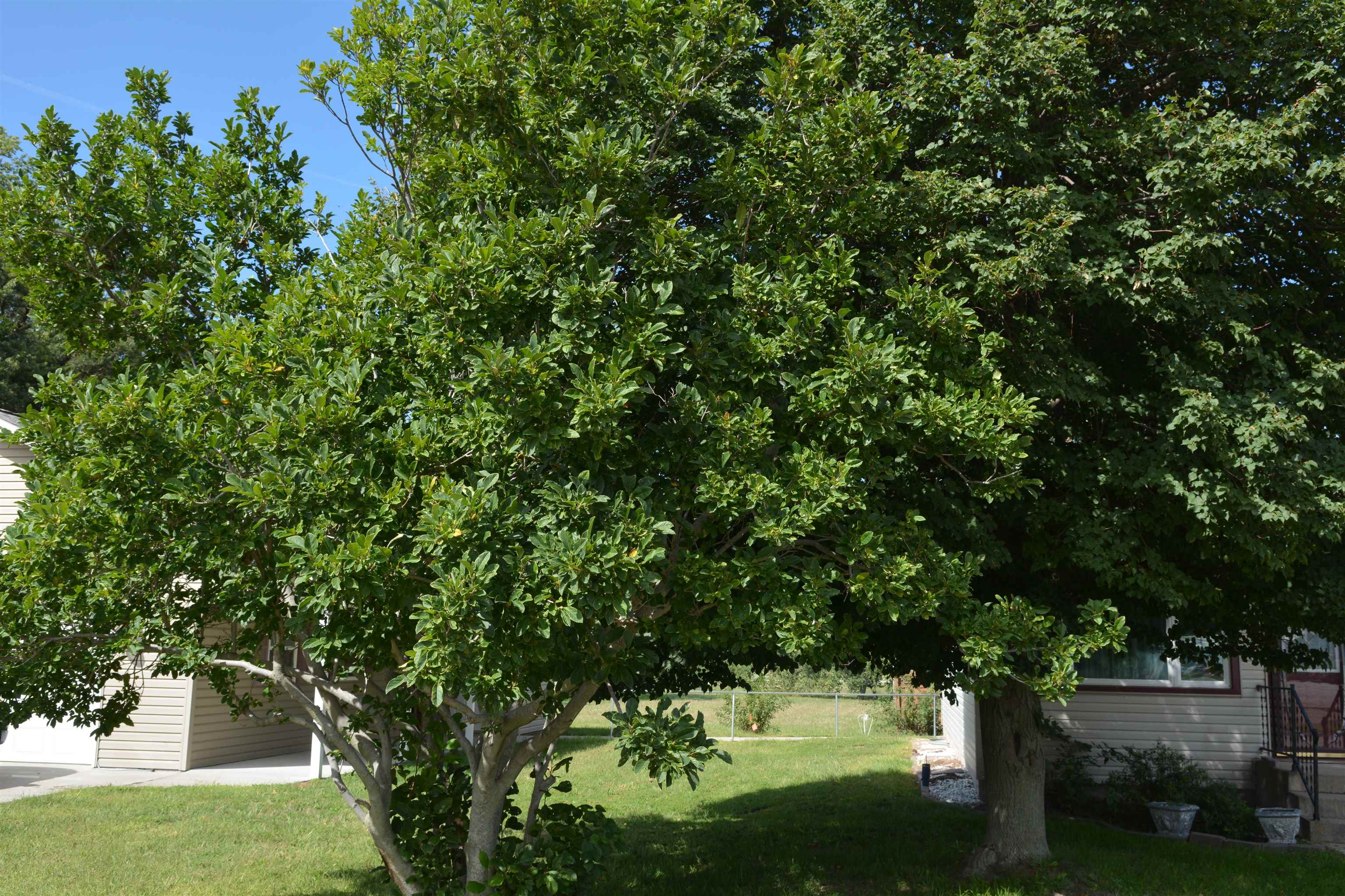 1245 N Tower, Minden, Nebraska 68959, 3 Bedroom Bedrooms, ,1 BathroomBathrooms,Residential,for Sale,1245 N Tower,20261340