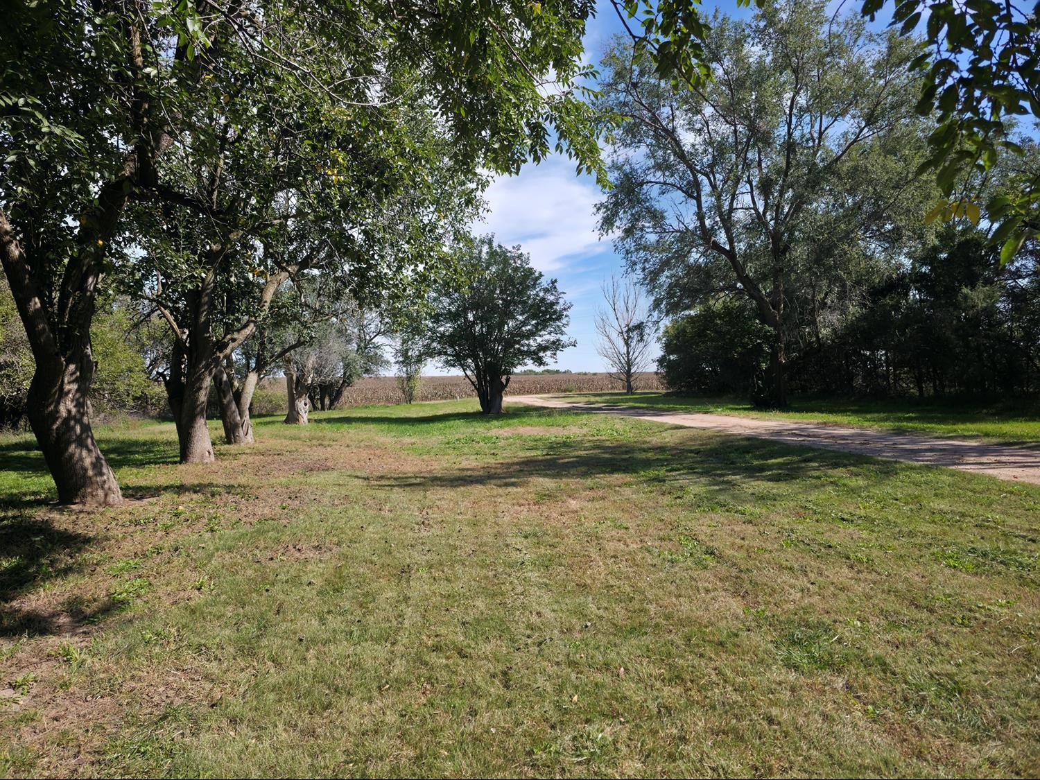 19290 Buckeye Road, Gibbon, Nebraska 68840, 3 Bedroom Bedrooms, ,2 BathroomBathrooms,Residential,for Sale,19290 Buckeye Road,20261471