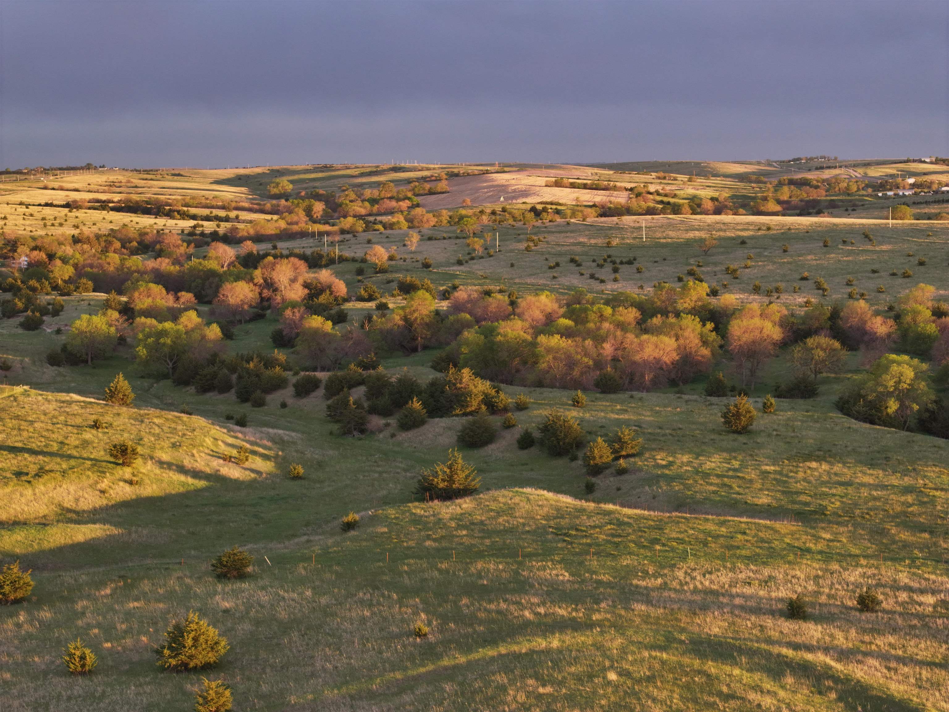 TBD Lot C Eagle Ridge - 30 Acres TBD, Kearney, Nebraska 68845, ,Land,for Sale,TBD Lot C Eagle Ridge - 30 Acres TBD,20261526