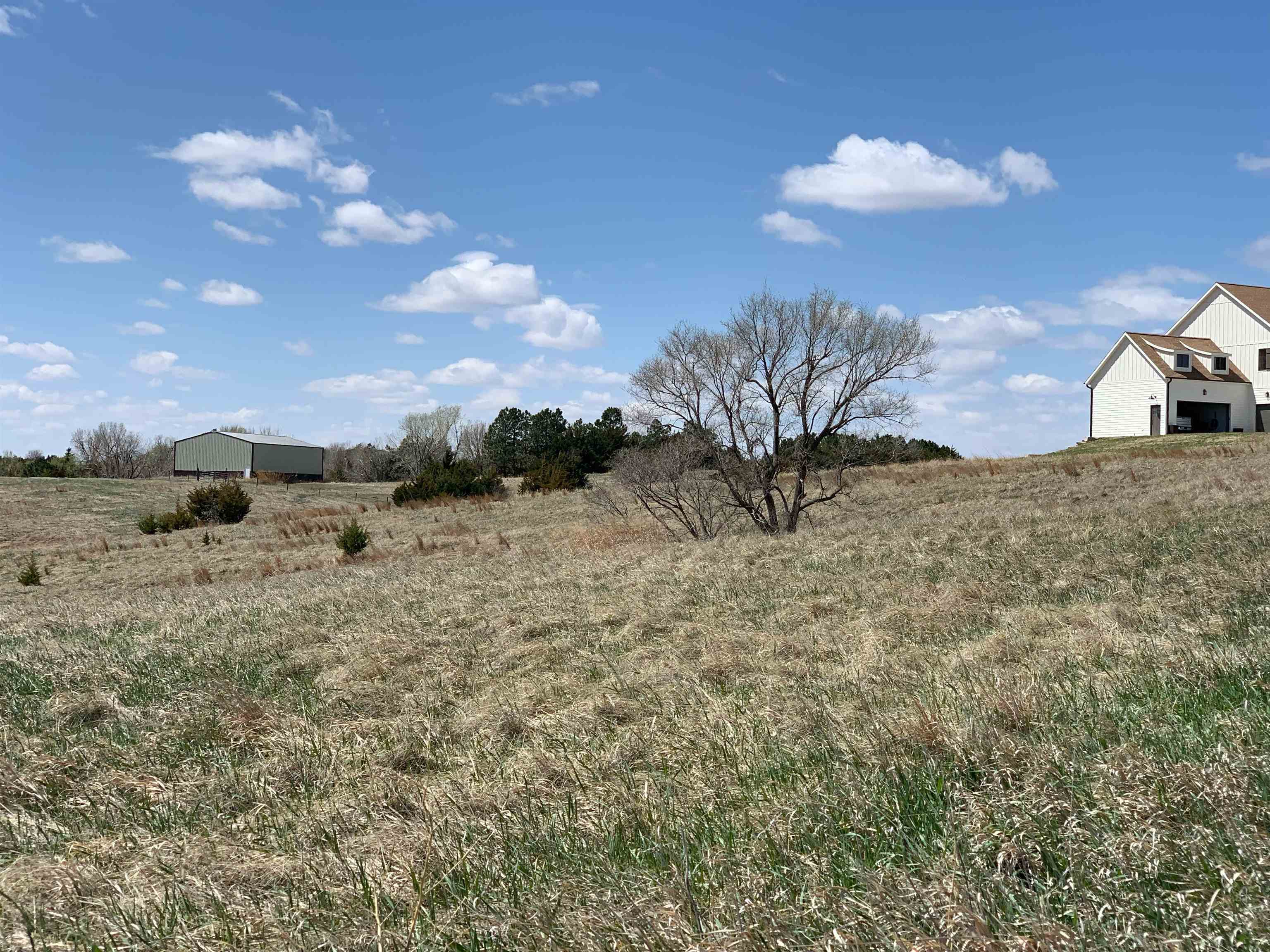 Land for Sale - - - - Price $99,000